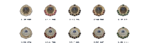 Colaborador Humanitario